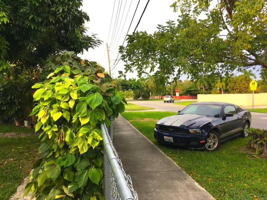 Miami Bungalow Oasis Near Everglades & The Keys Катлер-Бей Экстерьер фото