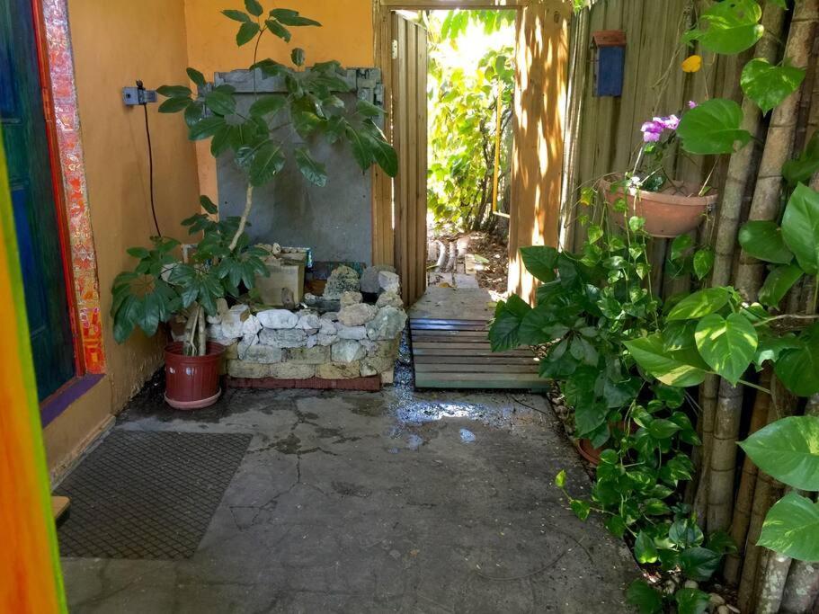 Miami Bungalow Oasis Near Everglades & The Keys Катлер-Бей Экстерьер фото